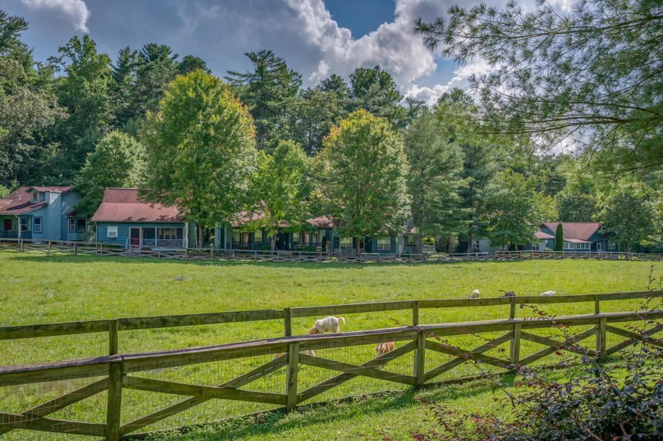 Buttercup Cottage アシュビル エクステリア 写真