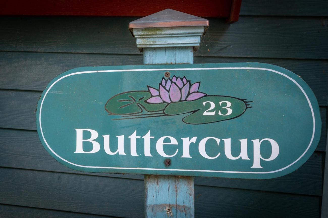 Buttercup Cottage アシュビル エクステリア 写真